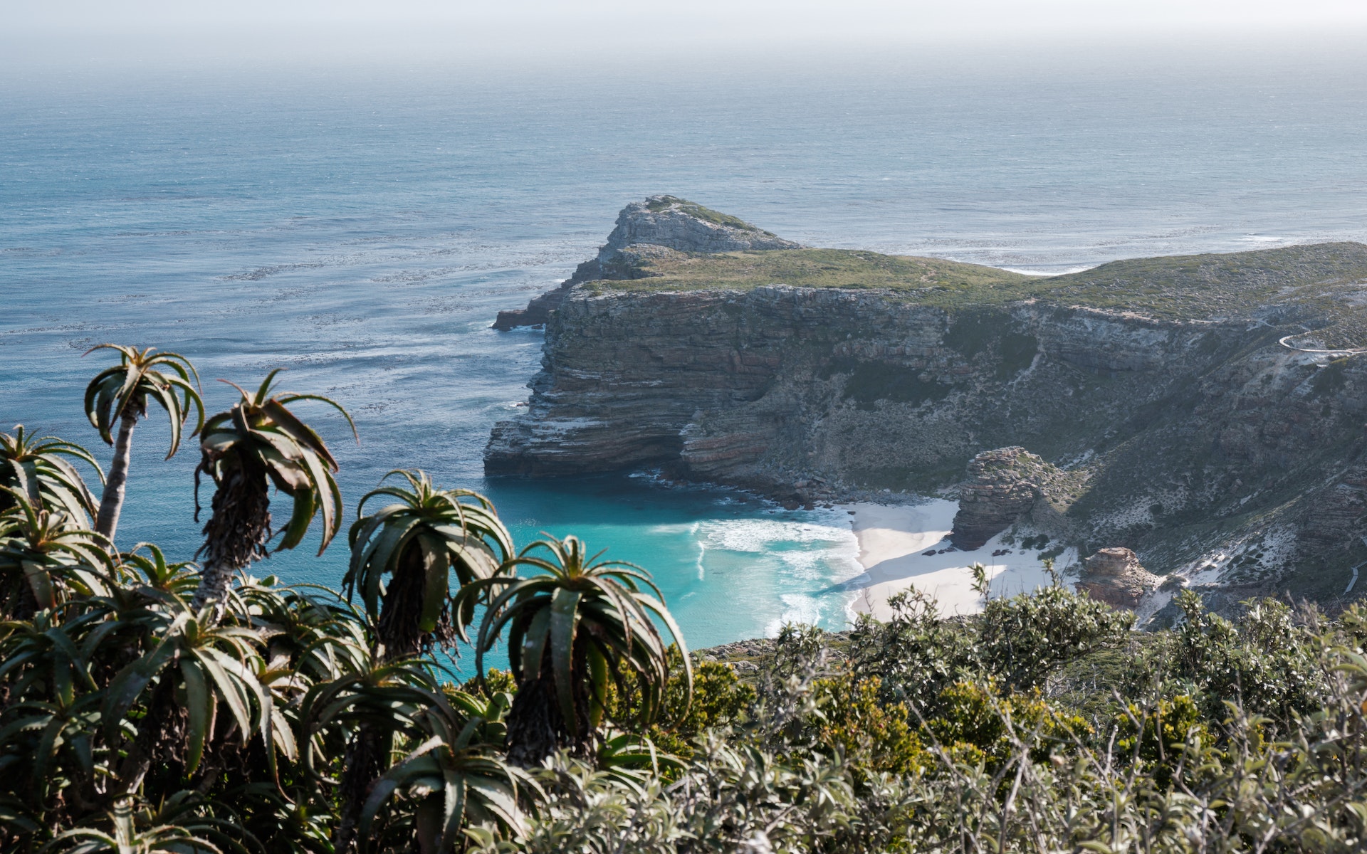 Cape of Good Hope & Penguins